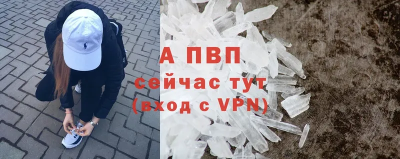 A PVP СК  Новошахтинск 