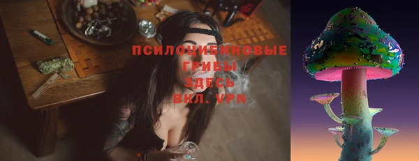 mdpv Магадан