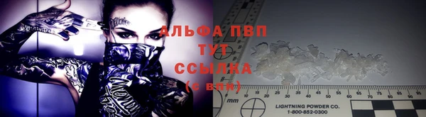 каннабис Майский