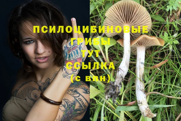 молекула духа Магас
