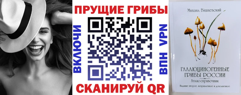 купить   Новошахтинск  Псилоцибиновые грибы Psilocybe 