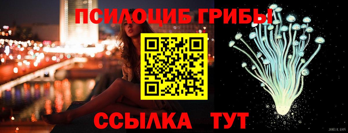 Псилоцибиновые грибы Magic Shrooms Новошахтинск